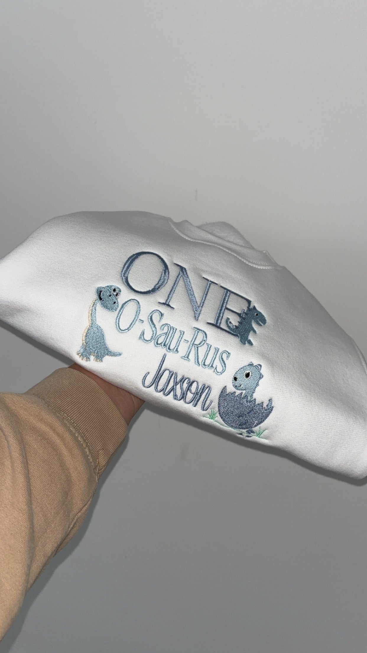 ONE o-sau-rus Jumper