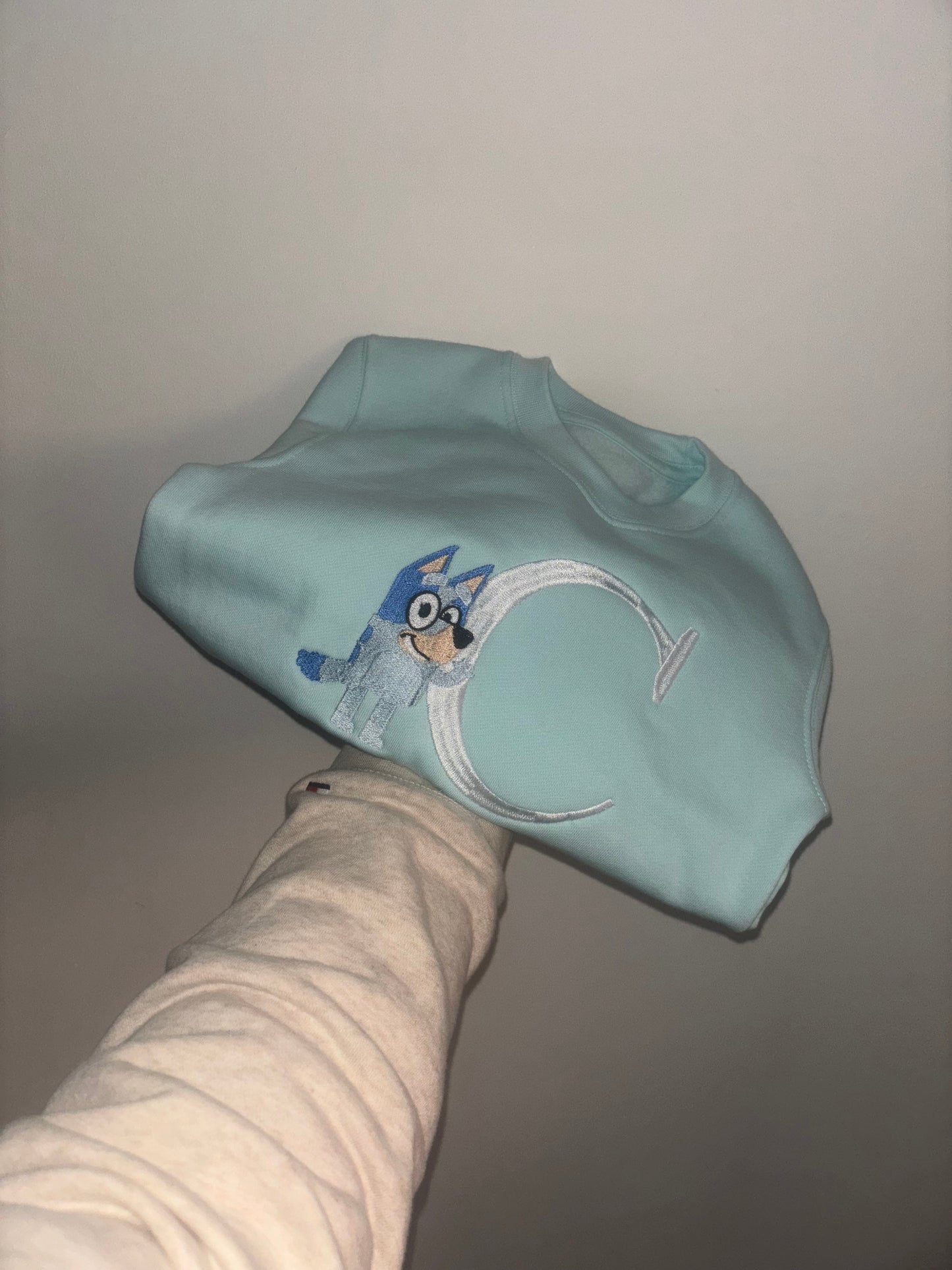 Bluey Initial Jumper