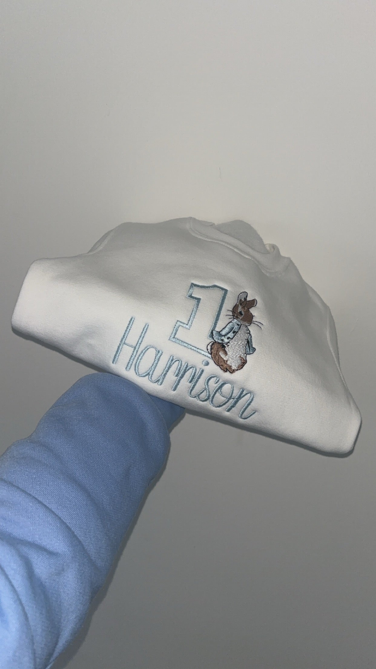 Peter Rabbit Birthday Jumper