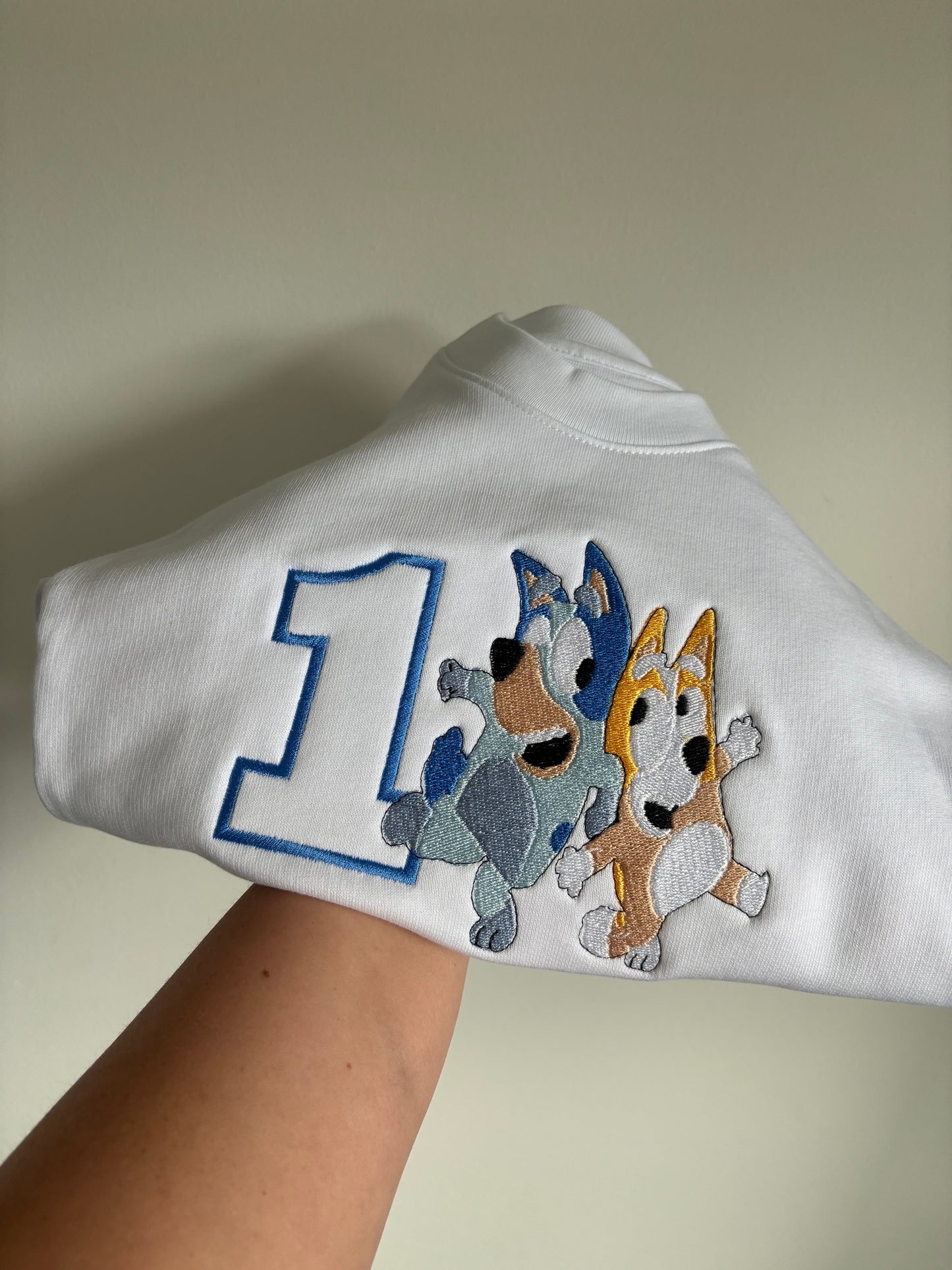 Bluey Birthday Jumper