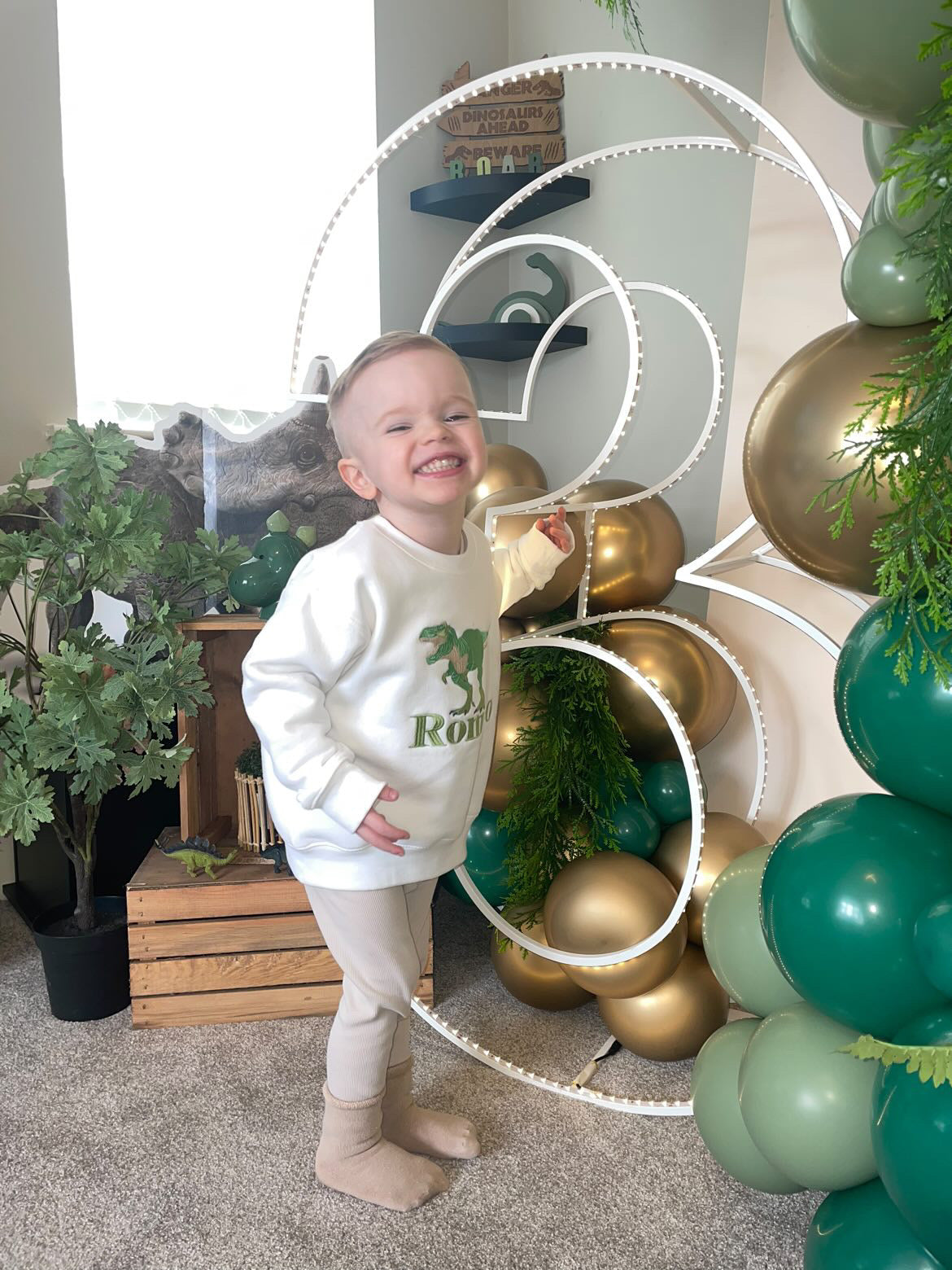 Dinosaur Birthday Jumper