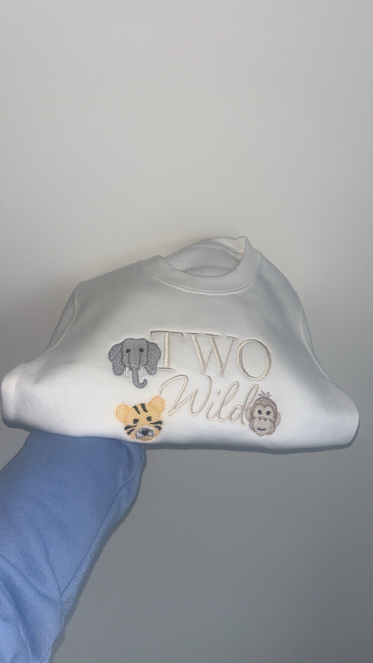 TWO Wild Birthday Jumper