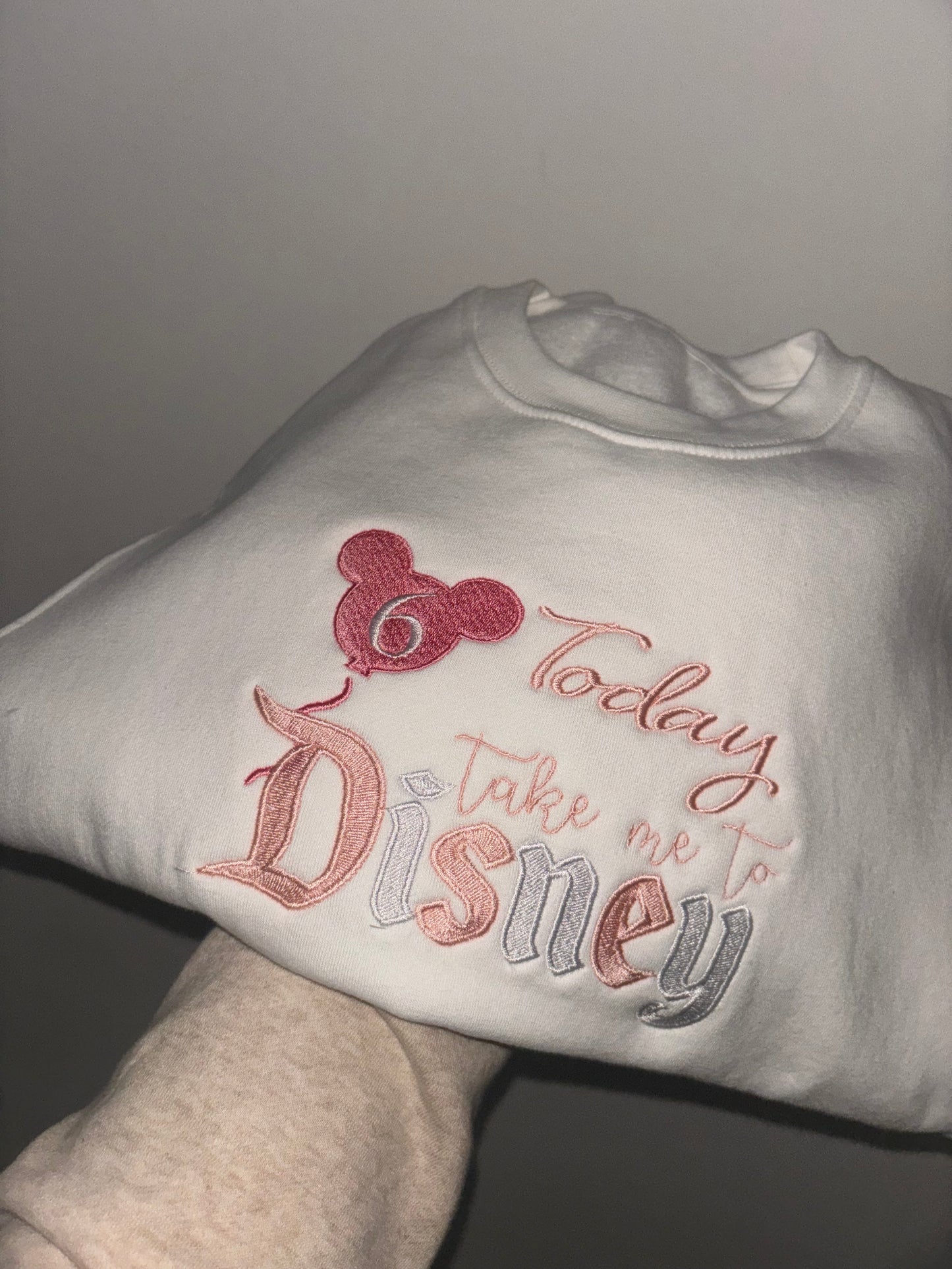 Birthday take me to Disney Jumper