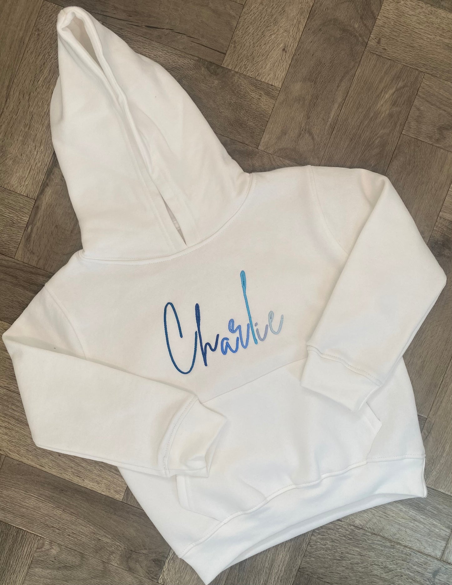 Signature ombré Hoody
