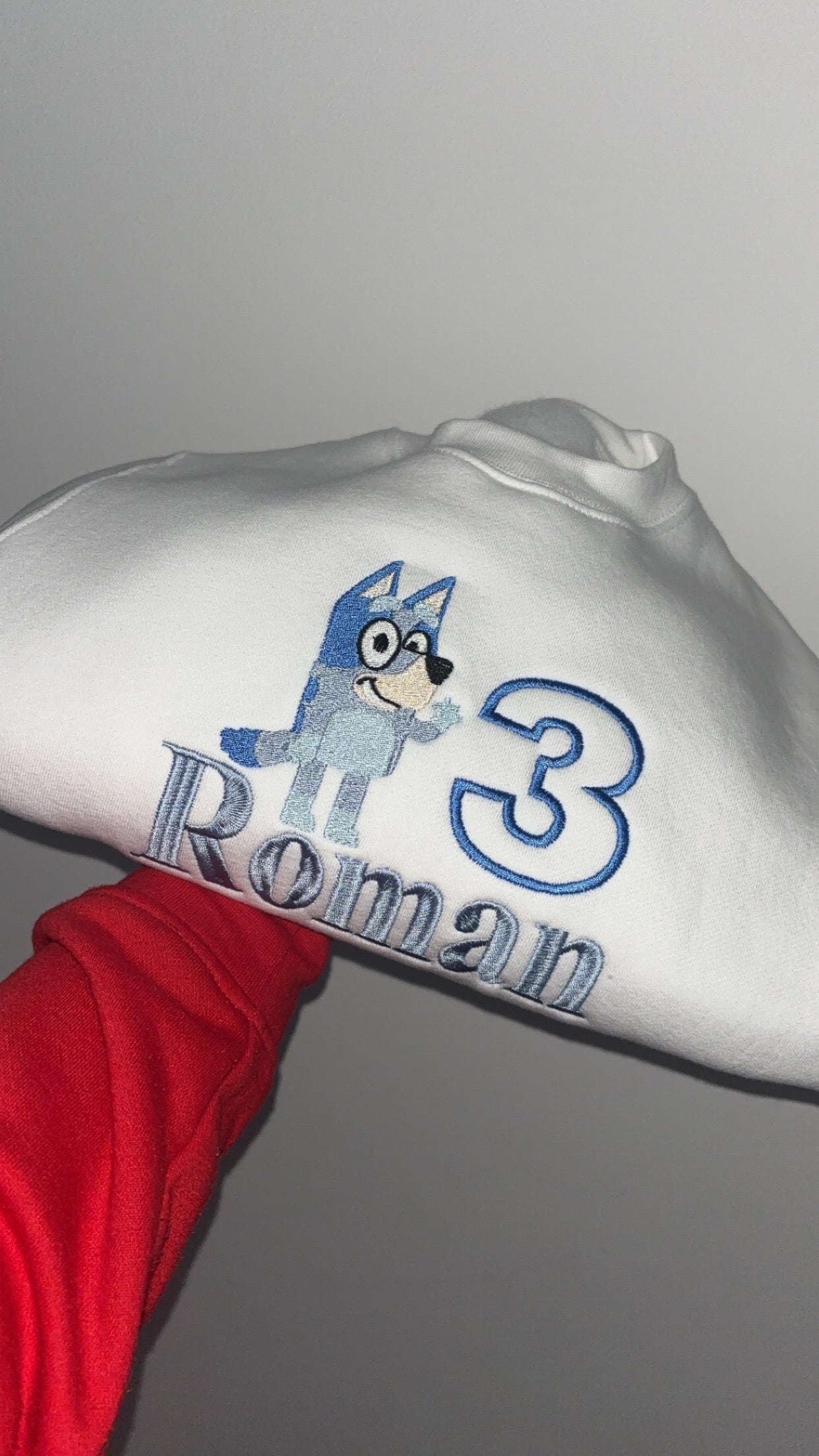 Bluey Birthday Jumper