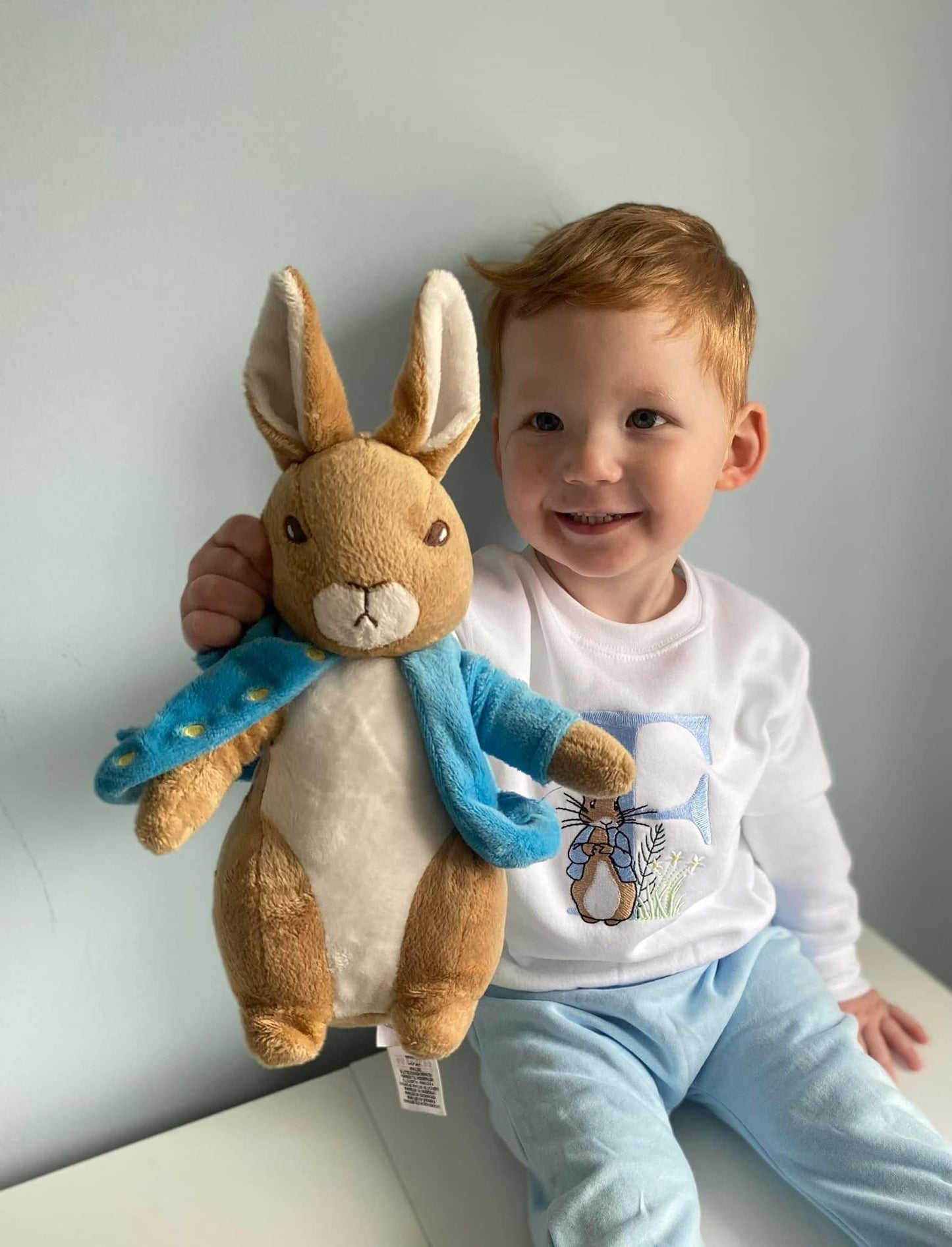 Peter Rabbit Jumper