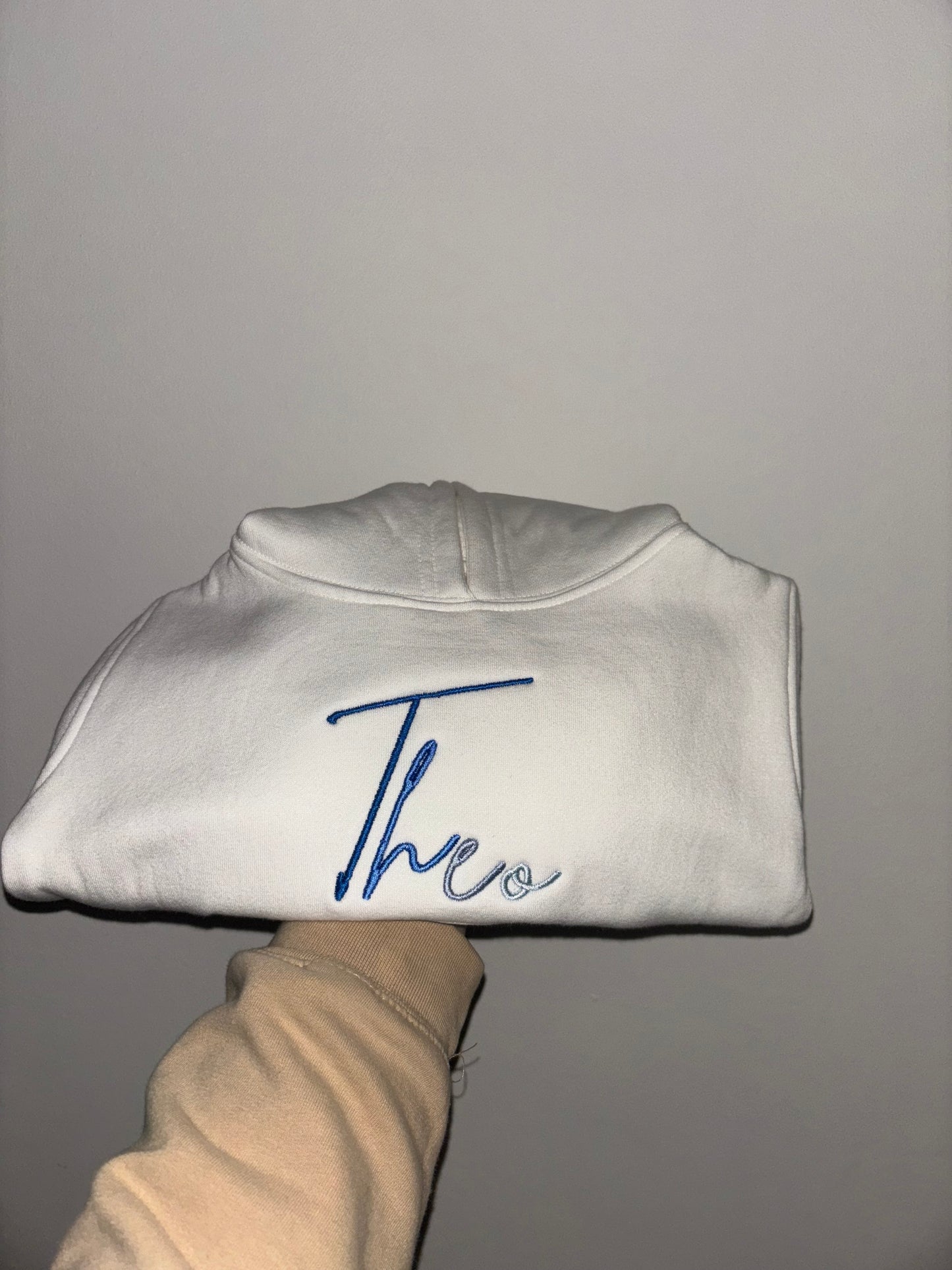 Signature ombré Hoody