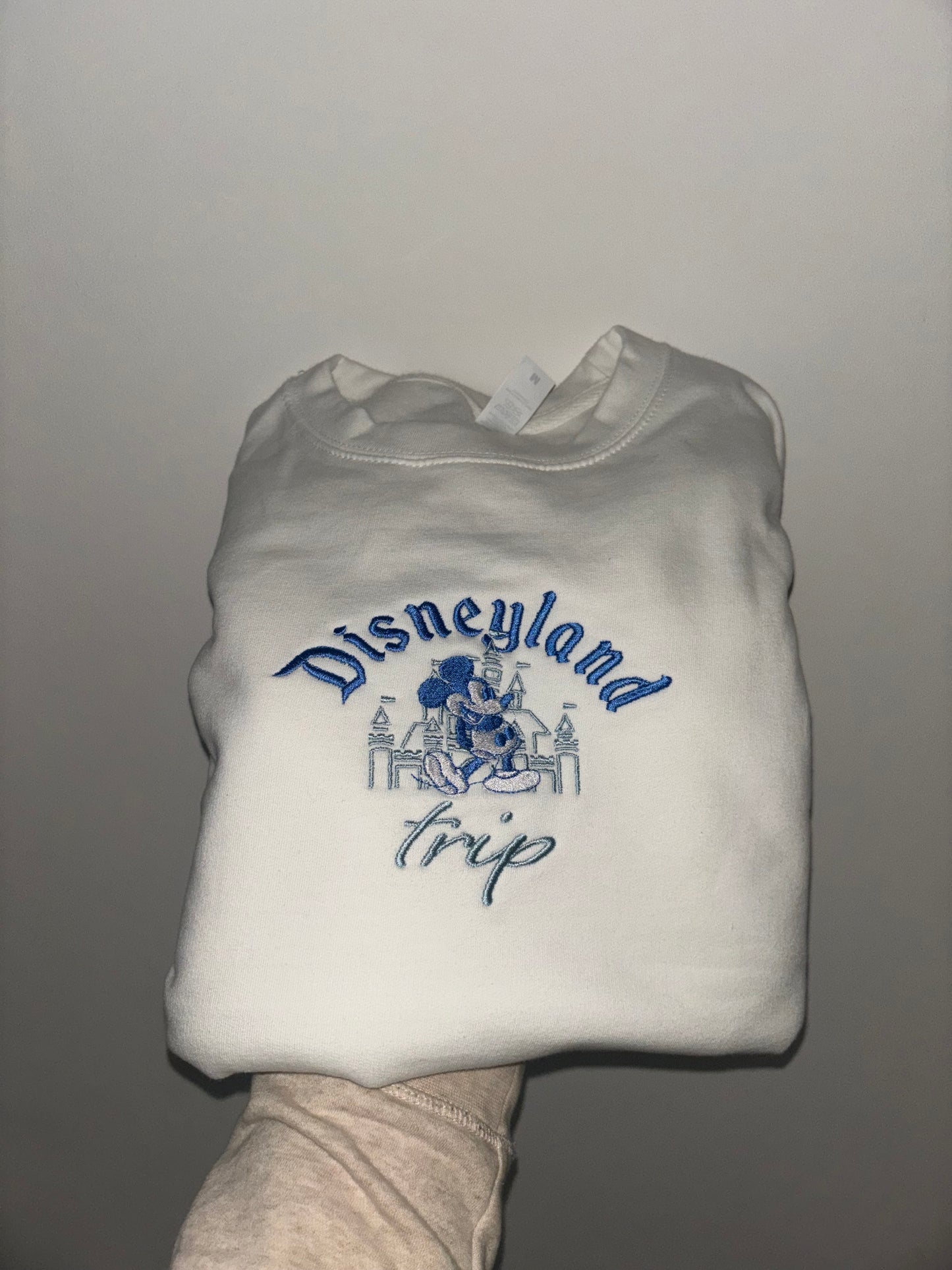 Disneyland Trip Jumper