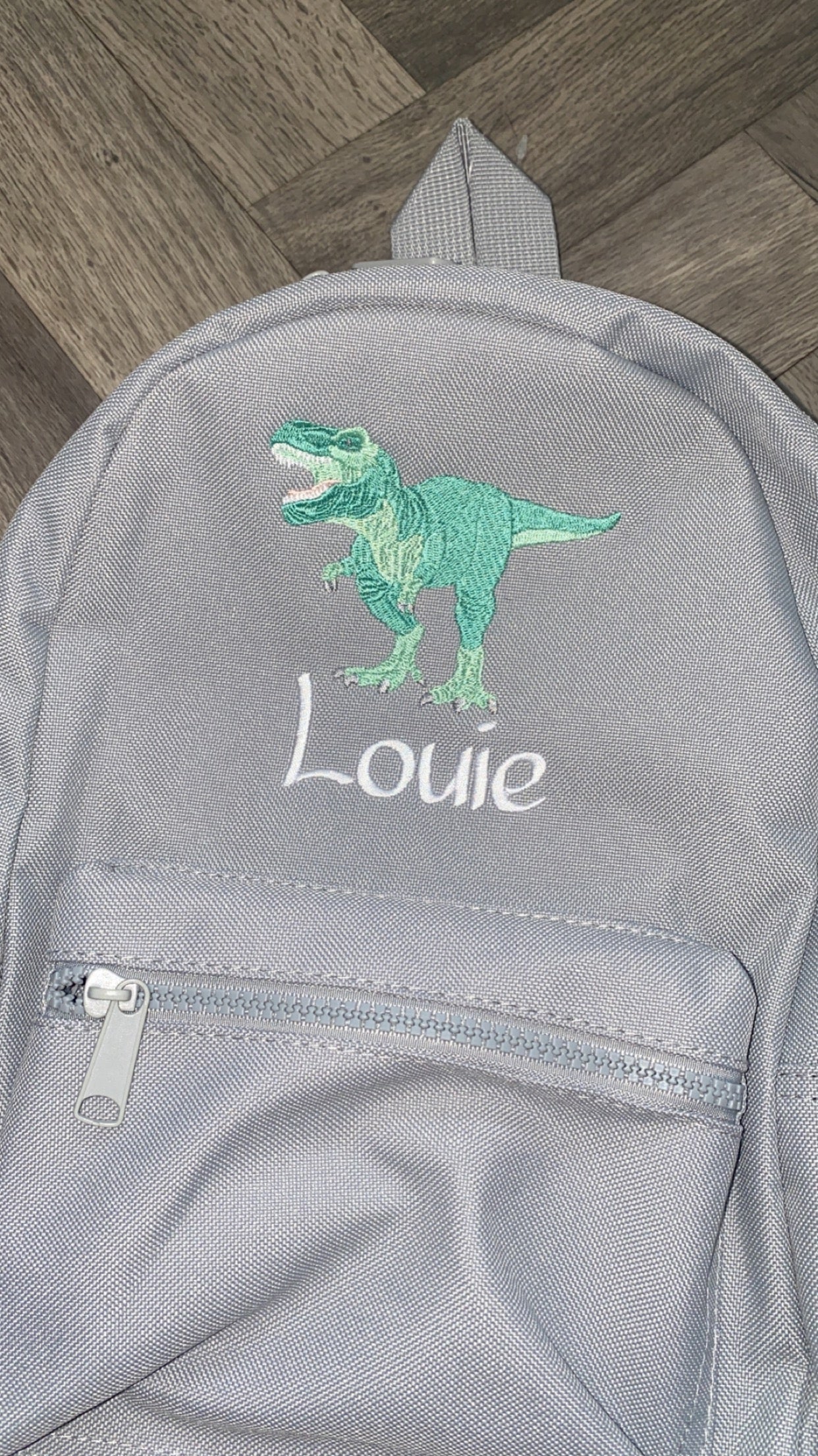 Dinosaur Backpack