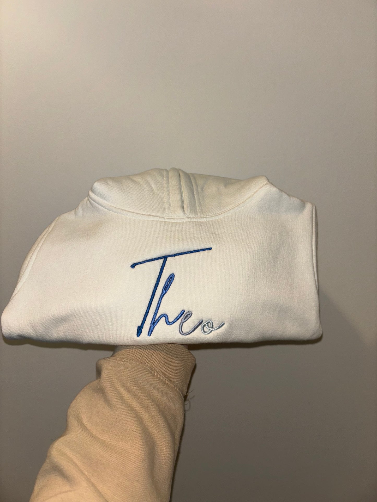 Signature ombré Hoody