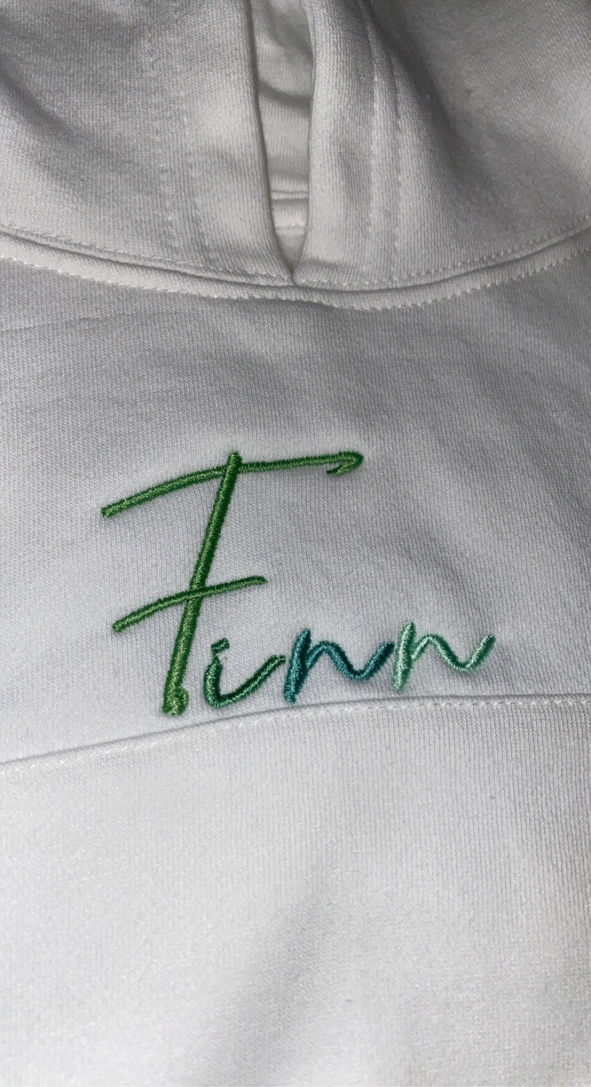 Signature ombré Hoody