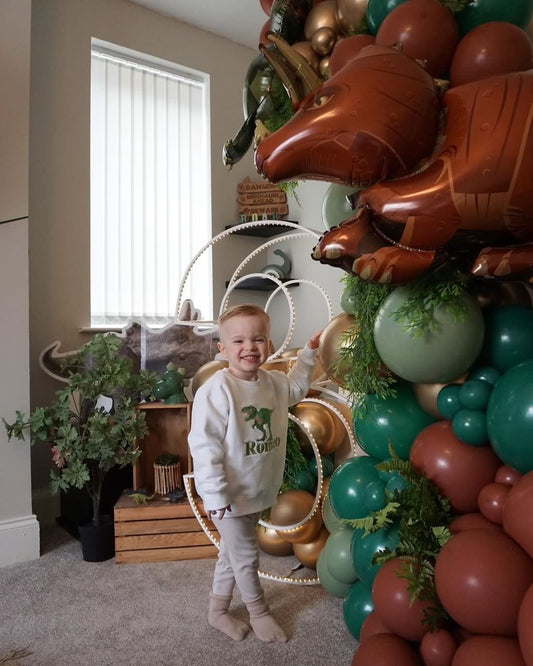 Dinosaur Birthday Jumper