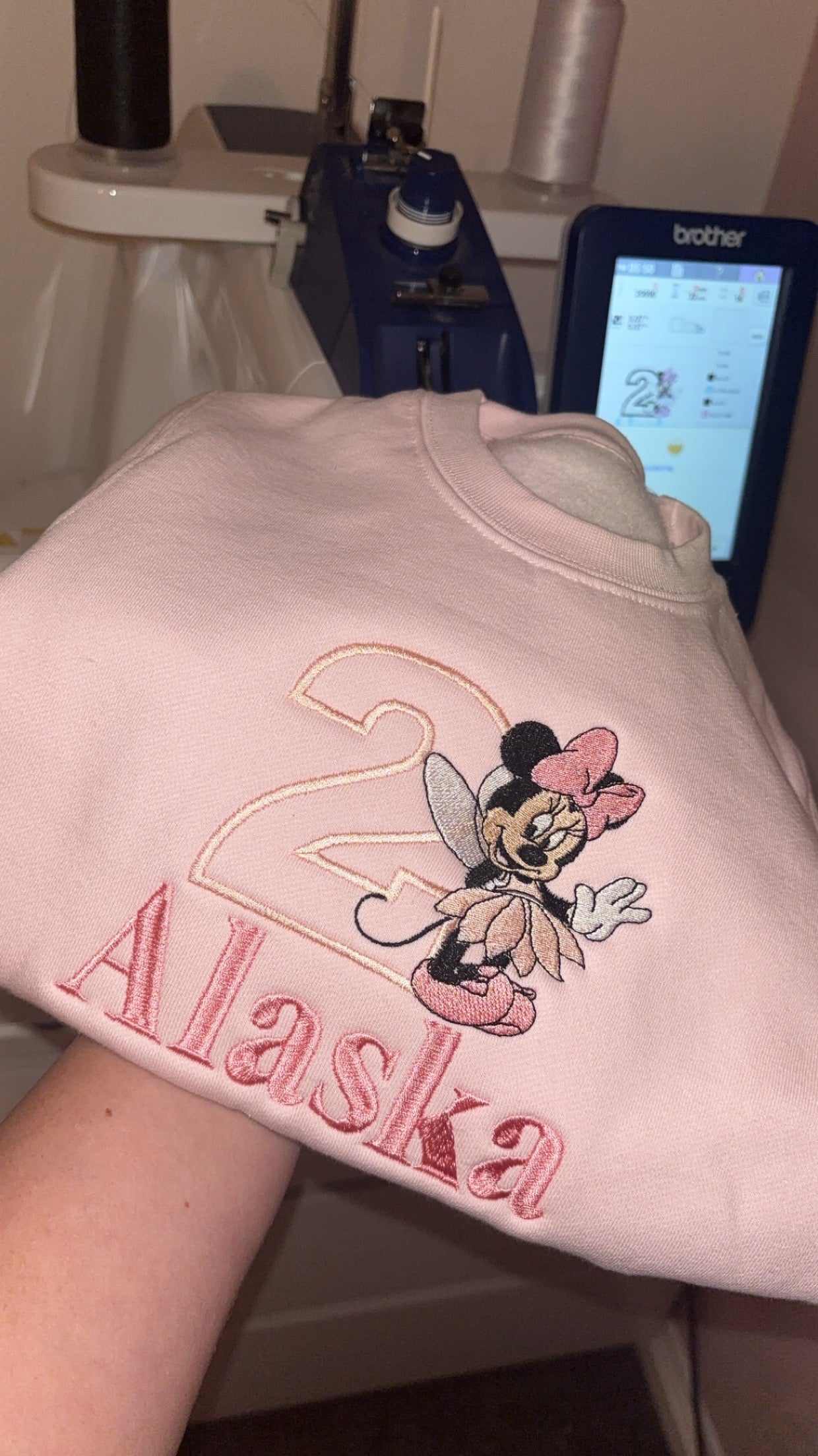 Minnie Fairy Birthday Jumper