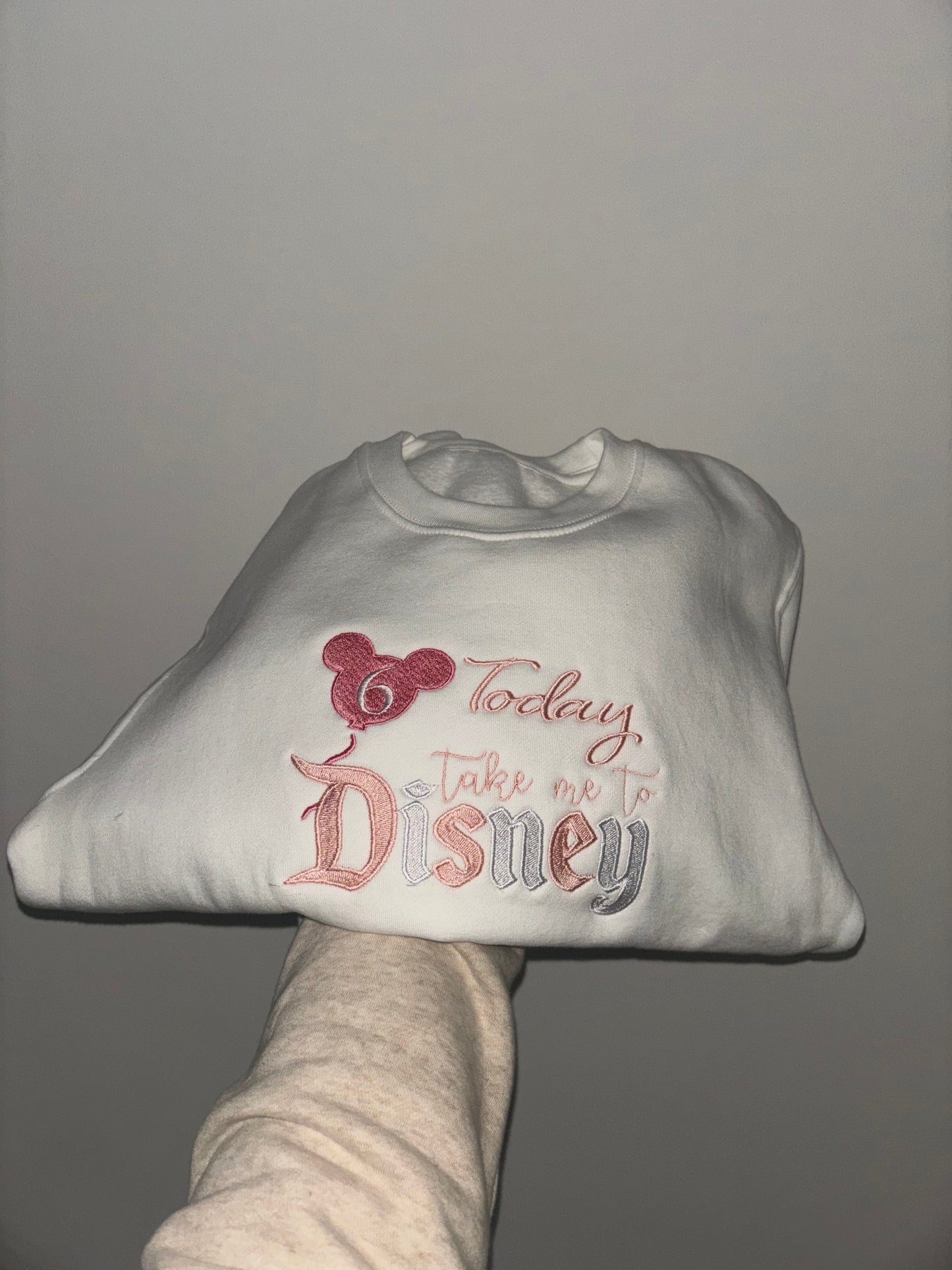 Birthday take me to Disney Jumper