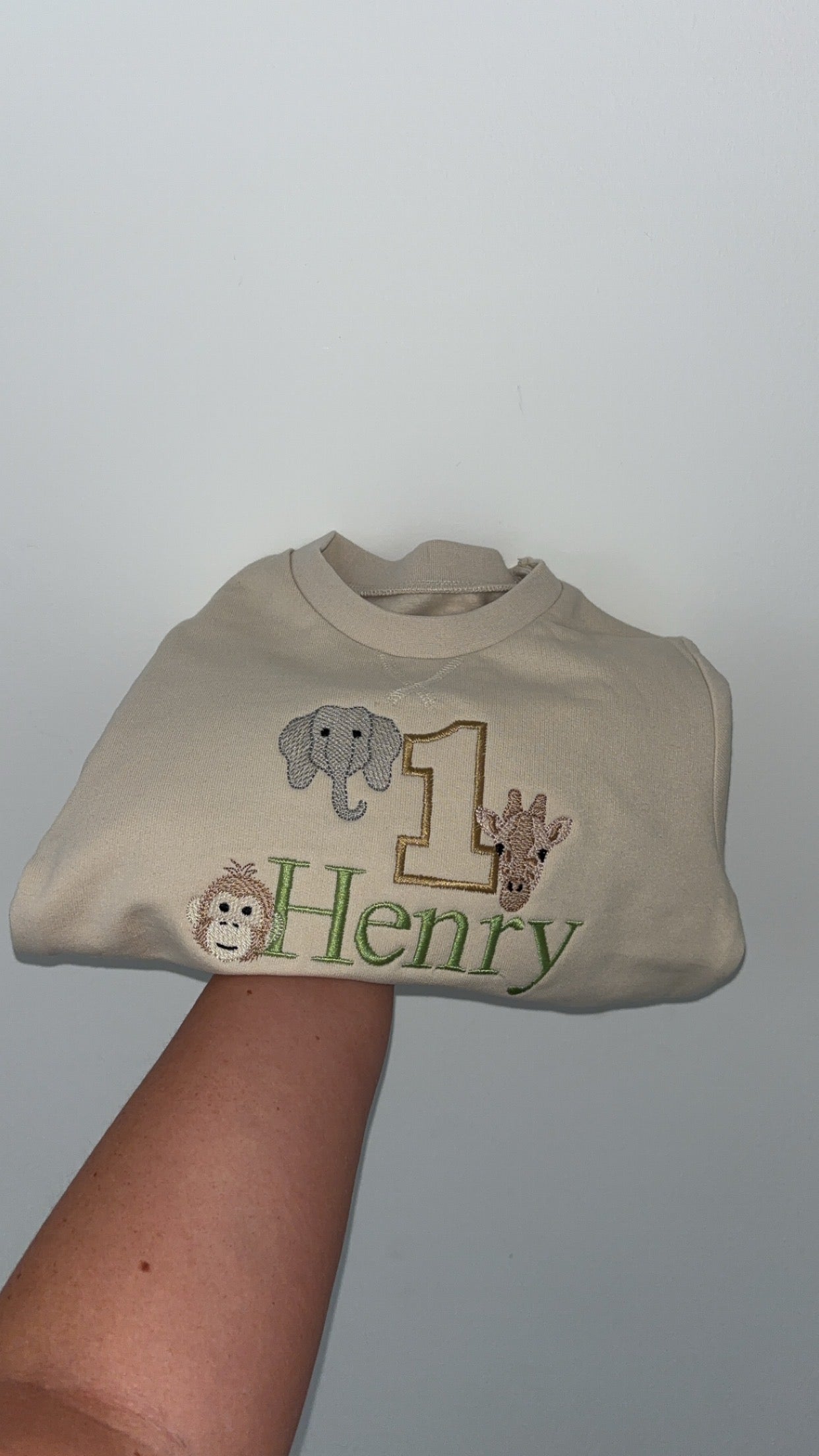 Safari Birthday Jumper
